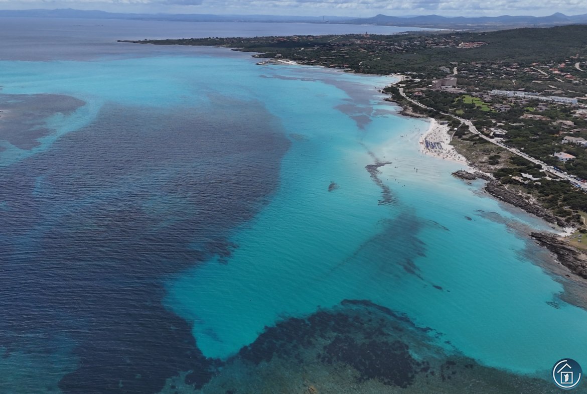villetta vista mare stintino - vendita for sale - Pietro Branca